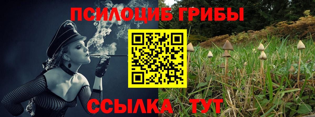 Пенза  Псилоцибиновые грибы мухоморы  Галлюциногенные грибы Psilocybe  Вход с VPN 